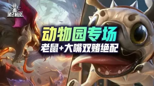 精密老鼠阵容搭配图片高清　老鼠阵容-第1张