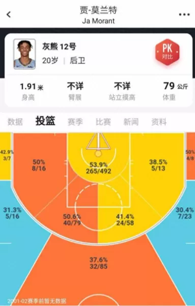 黑白双雄阵容搭配图解大全　灰熊队黑白双雄阵容-第7张