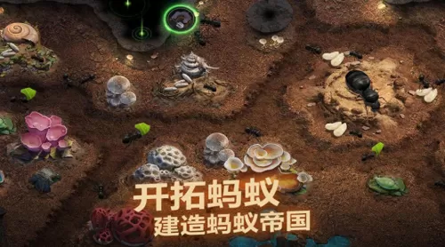 黑金无敌阵容搭配图片大全　魔法无敌最强阵容-第2张