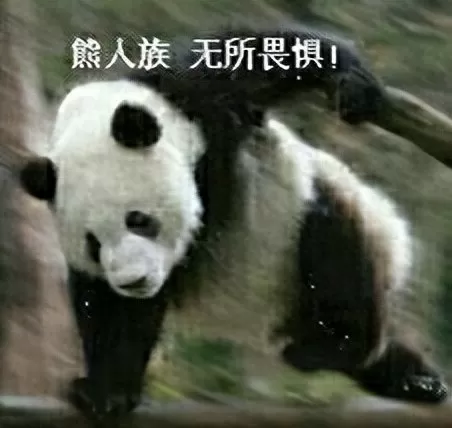 龙神英雄阵容怎么搭配最强　云顶之弈最强阵容与出装-第16张
