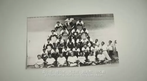 龙虎武师最新阵容搭配图鉴　香港最后一个龙虎武师-第25张