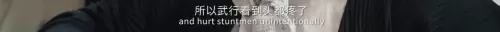 龙虎武师最新阵容搭配图鉴　香港最后一个龙虎武师-第29张