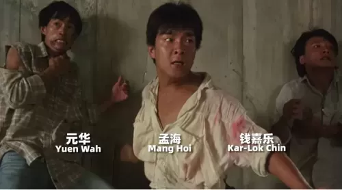 龙虎武师武打阵容搭配推荐　看武打电影-第4张