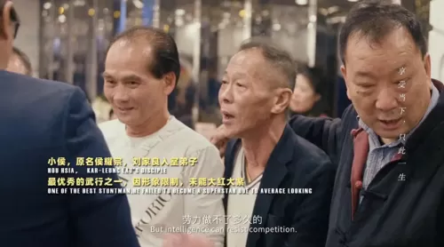 龙虎武师武打阵容搭配推荐　看武打电影-第14张