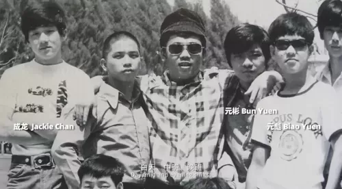 龙虎武师武打阵容搭配推荐　看武打电影-第18张