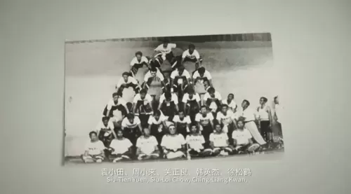 龙虎武师武打阵容搭配推荐　看武打电影-第25张