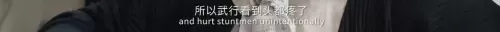 龙虎武师武打阵容搭配推荐　看武打电影-第29张