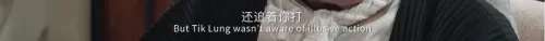 龙虎武师武打阵容搭配推荐　看武打电影-第28张