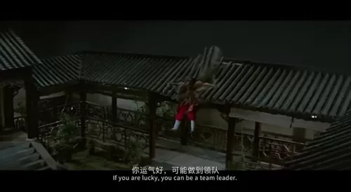 龙虎武师武打阵容搭配推荐　看武打电影-第30张