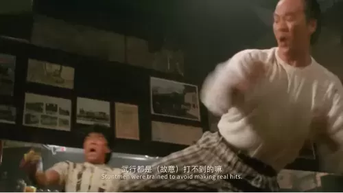 龙虎武师武打阵容搭配推荐　看武打电影-第36张