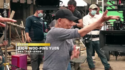 龙虎武师武打阵容搭配推荐　看武打电影-第38张