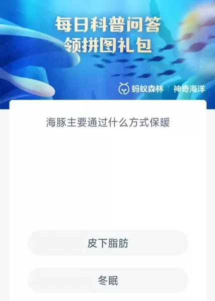 蚂蚁森林搭配阵容怎么搭配　海洋森林阵容-第2张
