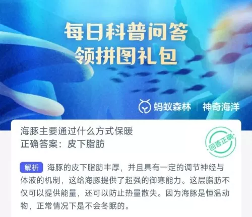 蚂蚁森林搭配阵容怎么搭配　海洋森林阵容-第3张