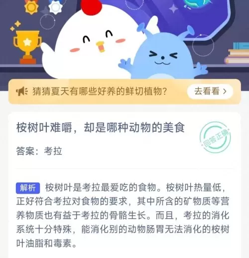 蚂蚁森林搭配阵容怎么搭配　海洋森林阵容-第5张