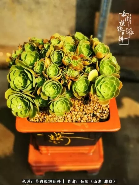 阴阳法师阵容搭配推荐平民　dnf男法师平民转什么好-第8张