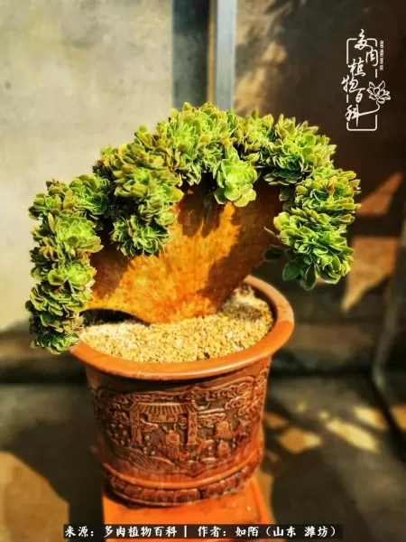 阴阳法师阵容搭配推荐平民　dnf男法师平民转什么好-第14张