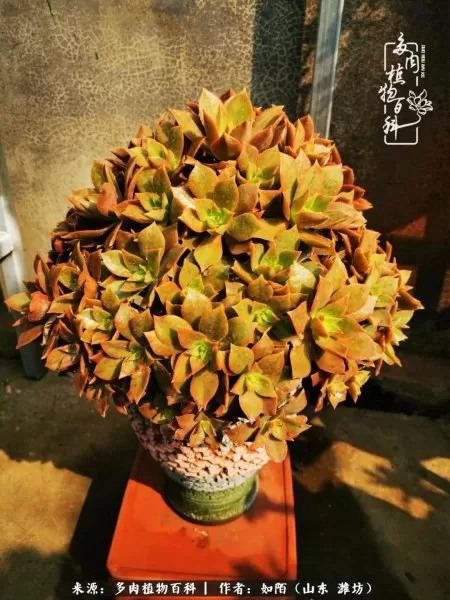 阴阳法师阵容搭配推荐平民　dnf男法师平民转什么好-第26张