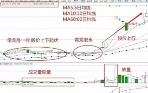 青龙突破战法推荐阵容搭配　青龙怎么加点-第2张