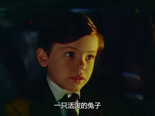 黑白魔法狐狸阵容搭配图片　狐狸的魔法奶酪-第17张