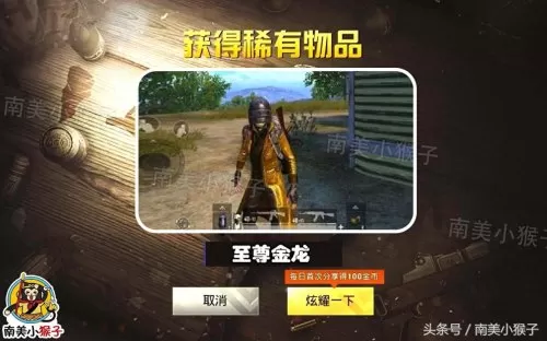 至尊金龙怎样搭配阵容最好　至尊金龙的照片-第3张