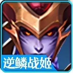 蜘蛛刺客阵容搭配图片高清　刺客阵容-第6张