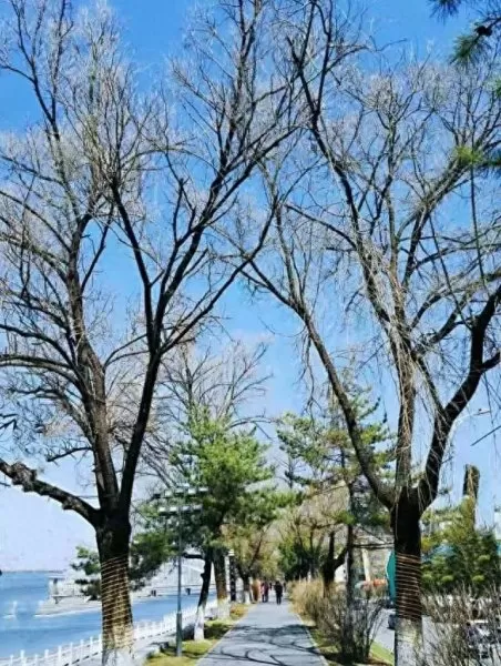 神奇水域最强阵容搭配攻略　灵魂潮汐阵容推荐-第8张