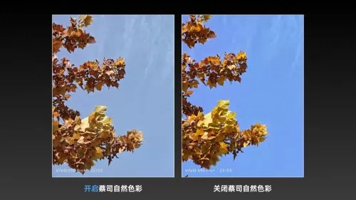 阵容搭配设置图表下载安装　如何设置图表标题-第12张