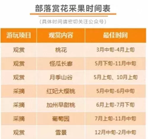 部落农场游戏推荐阵容搭配　农场部落-第6张
