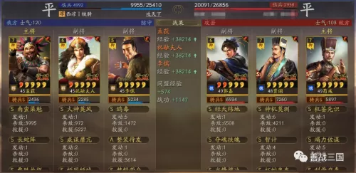 魏延黄忠如何搭配战法阵容　率土之滨魏延战法搭配-第8张