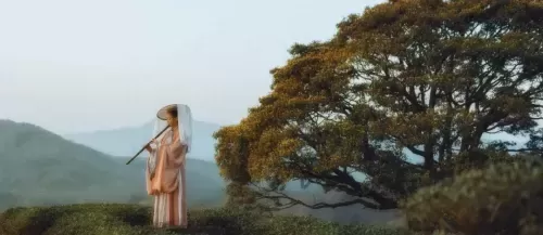 自在西游妖界后期阵容搭配　双铁扇与双狐的对比-第10张