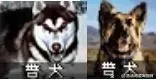 疯狂战场阵容搭配图片大全　记忆战场怎么查看阵容-第6张