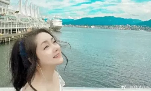 部落冲突盛世美颜阵容搭配　部落冲突最强阵容搭配-第8张