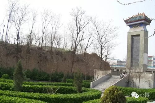 魏国赤金搭配什么阵容最强　魏国阵容-第10张