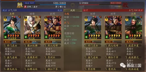 魏枪阵容搭配图片大全最新　三国志战略版顶级魏枪-第10张