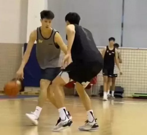 老虎防守阵容搭配图片高清　NBA最佳防守阵容-第4张