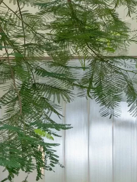 阴阳师体验服闹市阵容搭配　阴阳师体验服最新消息-第11张
