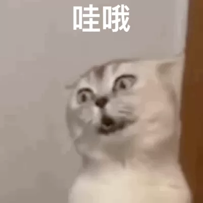 装扮少女新手闯关搭配阵容　装扮少女好看的搭配-第4张