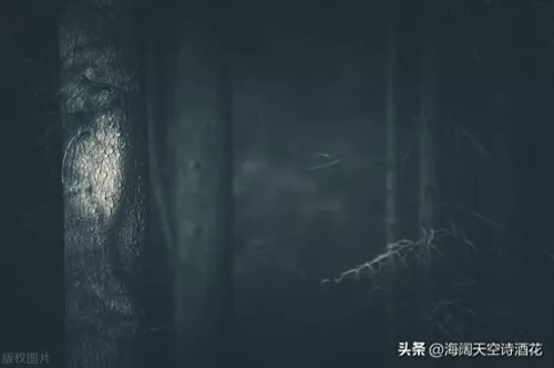 黑暗森林法则最强阵容搭配　黑暗森林法则内容-第1张