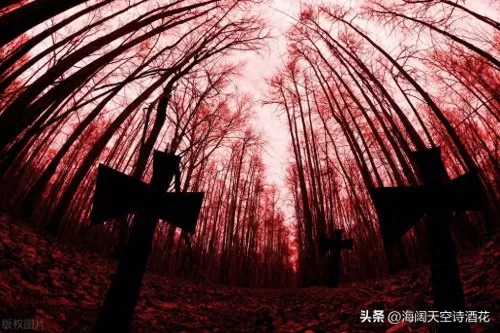黑暗森林法则最强阵容搭配　黑暗森林法则内容-第2张