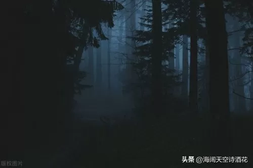 黑暗森林法则最强阵容搭配　黑暗森林法则内容-第4张