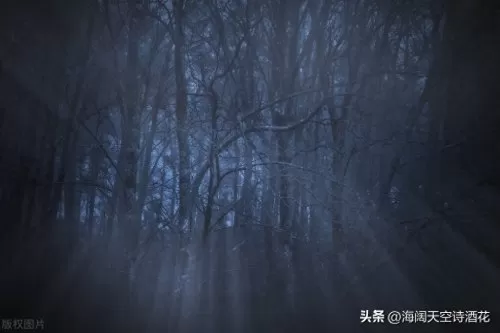 黑暗森林法则最强阵容搭配　黑暗森林法则内容-第5张