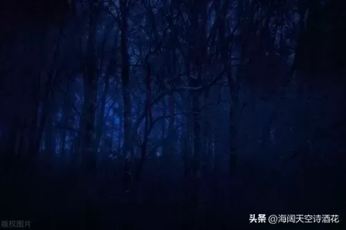 黑暗森林法则最强阵容搭配　黑暗森林法则内容-第7张