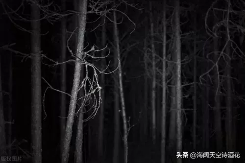 黑暗森林法则最强阵容搭配　黑暗森林法则内容-第8张