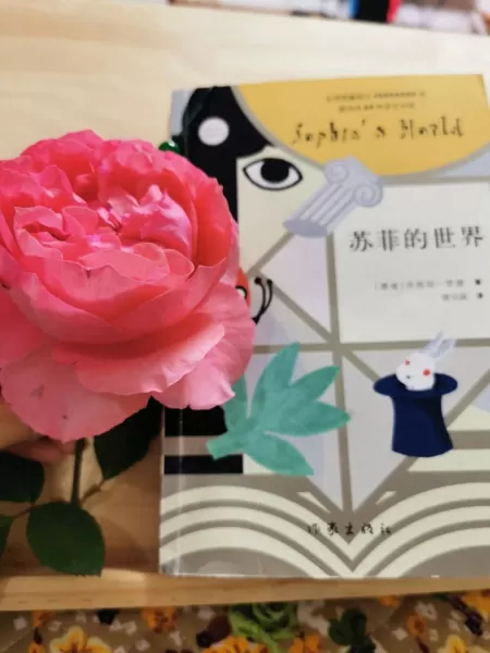重启帝国最强阵容搭配推荐　剑与远征耀光帝国阵容搭配-第1张