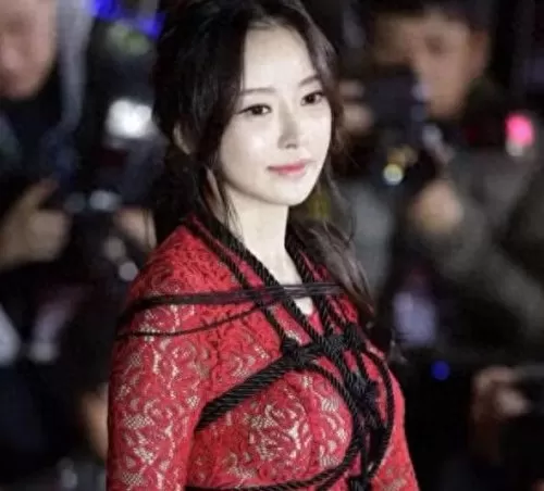 顶级韩剧阵容搭配图片高清　三国志战略版顶级嘟嘟阵容-第1张