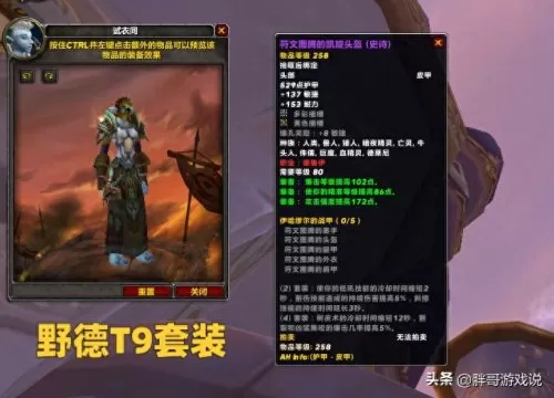 魔兽最新阵容装备搭配攻略　魔兽世界种族职业搭配-第7张