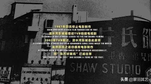 龙虎武师阵容搭配图片大全　香港最后一个龙虎武师-第41张