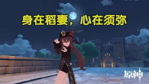 须弥角色前沿搭配什么阵容　须弥的角色-第1张