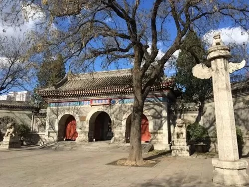 神仙道观推荐阵容搭配攻略　神仙道阵容搭配-第9张