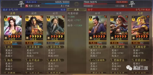 龙虎上将阵容怎么搭配最好　三国志战略版五虎上将-第25张